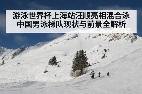 游泳世界杯上海站汪顺亮相混合泳 中国男泳梯队现状与前景全解析